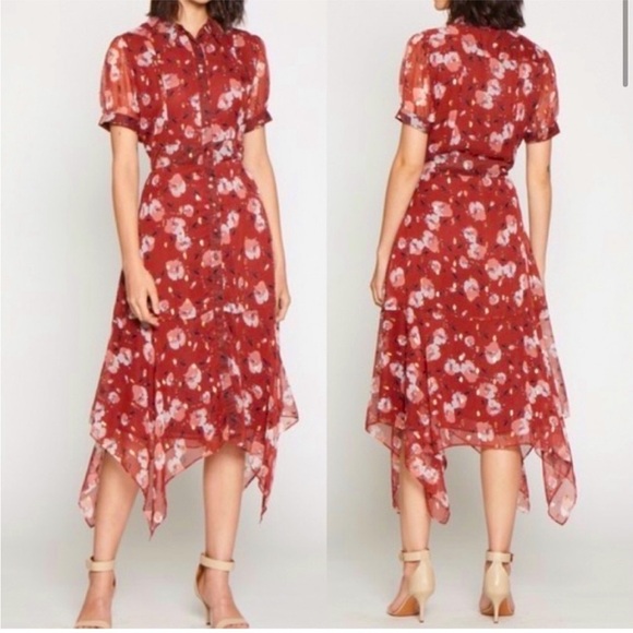 Walter Baker Dress Handkerchief Hem Fully Lined Button Up Floral Wine Color SZ S - Picture 1 of 16